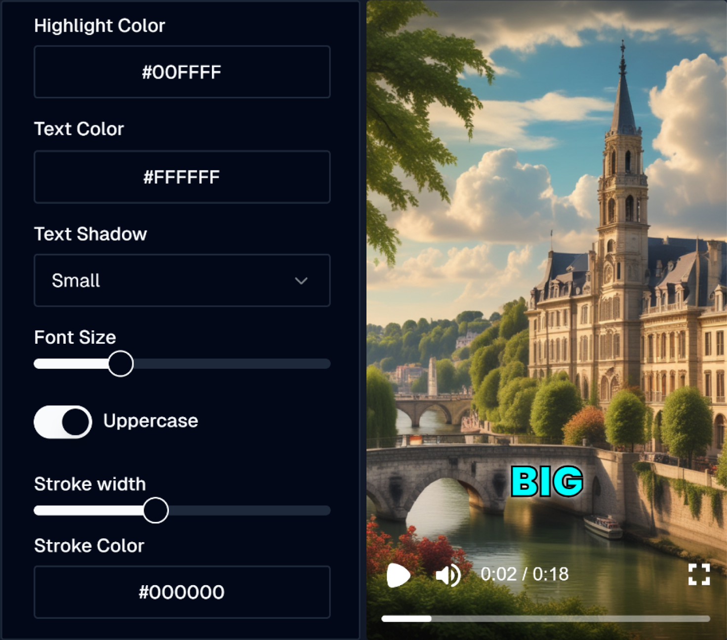 Customize and refine subtitles